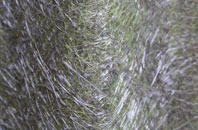 Lach Dennis fibreglass roof work